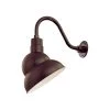R Series 1-Light 13 in. Architectural Bronze Emblem Shade by Millennium Lighting