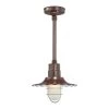 12 in. 1-Light Architectural Bronze Radial Wave Shade by Millennium Lighting