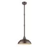 R Series 1-Light 14 in. Bronze Hardwired Warehouse Shade (1-Pack) by Millennium Lighting