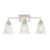 Caily 24 in. 3-Light Brushed Nickel Vanity Light with Clear Glass Shade by Millennium Lighting
