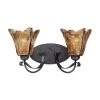 2-Light Burnished Gold Vanity Light with Umber Swirl Glass by Millennium Lighting