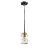1-Light 4.75 in. Mini Pendant by Millennium Lighting