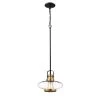 1-Light 10 in. Heirloom Bronze/Matte Black Mini Pendant by Millennium Lighting