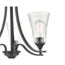 Natalie 23 in. 3-Light Matte Black Chandelier Light with Clear Seeded Shade by Millennium Lighting -Millennium Lighting Shop matte black millennium lighting chandeliers 1463 mb 1f 1000