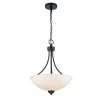 2-Light 15 in. Matte Black Pendant by Millennium Lighting