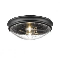 12 in. W 2-Light Matte Black Ceiling Fixture Flush Mount by Millennium Lighting