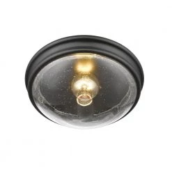1-Light 12 in. Matte Black Flushmount by Millennium Lighting