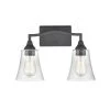 Caily 15.75 in. 2-Light Matte Black Vanity Light with Clear Glass Shade by Millennium Lighting