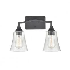 Caily 15.75 in. 2-Light Matte Black Vanity Light with Clear Glass Shade by Millennium Lighting