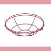 R 15 in. Satin Red Wire Guard by Millennium Lighting