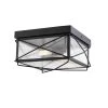 2-Light 16 in. Powder Coat Black Outdoor Flush Mount by Millennium Lighting
