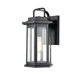 9 in. 1-Light Powder Coat Black Outdoor Wall Lantern by Millennium Lighting