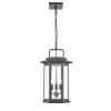 Ellis 3-Light 11 in. Powder Coat Bronze Hardwired Outdoor Hanging Pendant with Clear Glass (1-Pack) by Millennium Lighting