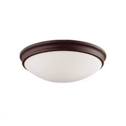12 in. Wide 2-Light Rubbed Bronze Flush Mount Bowl Ceiling Fixture with Glass Shade by Millennium Lighting
