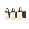 Ivey Lake 16 in. 3-Light Rubbed Bronze Bathroom Vanity Light with Etched White Glass by Millennium Lighting