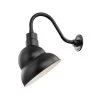 R Series 1-Light 13 in. Satin Black Emblem Shade by Millennium Lighting