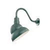 R Series 1-Light 13 in. Satin Green Emblem Shade by Millennium Lighting